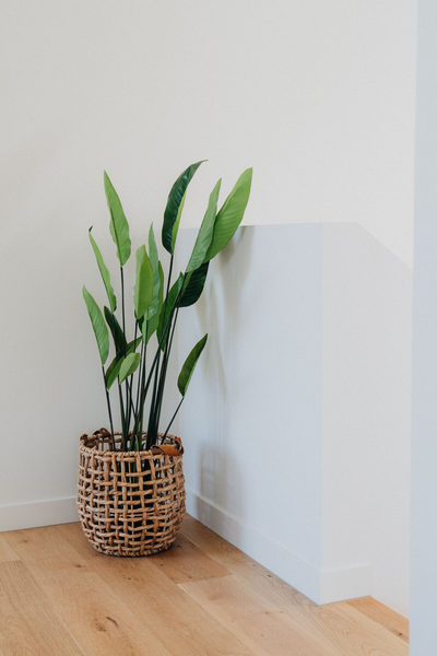 Interior and architectural detail at Margot Townhouse, Doncaster multi-residential project by WB Built