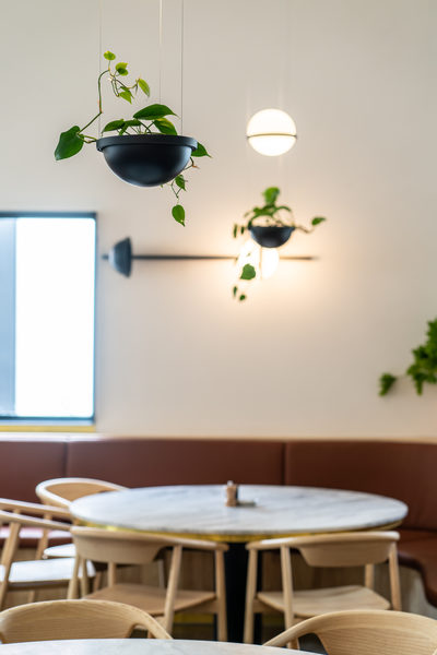 Hospitality fit-out and venue detail at Rustica South Yarra by WB Built