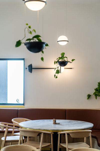 Hospitality fit-out and venue detail at Rustica South Yarra by WB Built