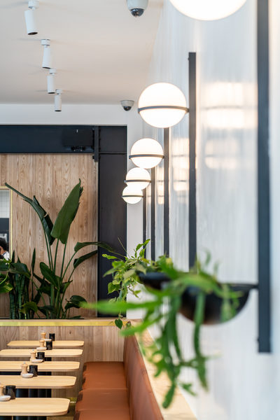 Hospitality fit-out and venue detail at Rustica South Yarra by WB Built