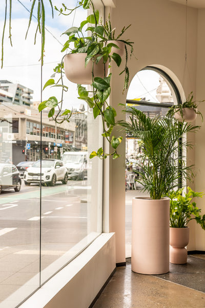 Hospitality fit-out and venue detail at Rustica South Yarra by WB Built