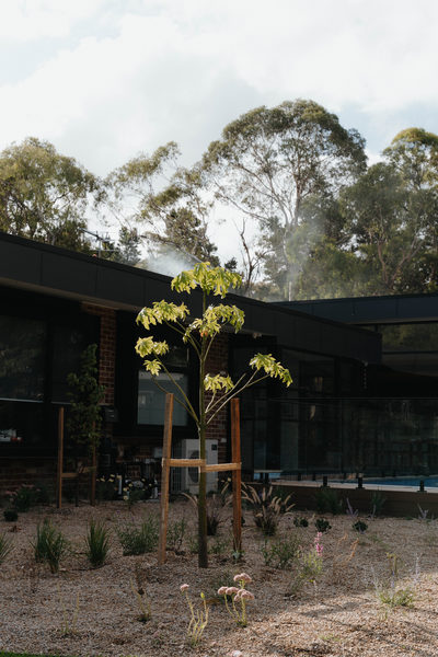 Interior and architectural detail at Sunbury House by WB Built